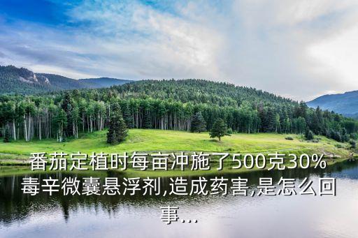 西紅柿什么農(nóng)藥超標(biāo),什么茶最容易農(nóng)藥超標(biāo)