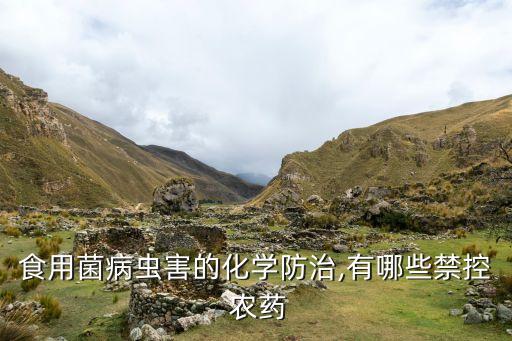 農(nóng)藥什么明威,什么農(nóng)藥無色無味