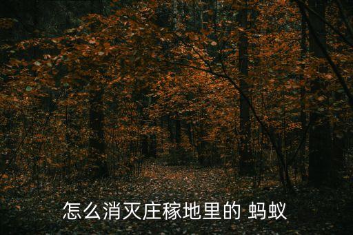 怎么消滅莊稼地里的 螞蟻
