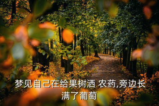 夢見打農藥什么意思啊,夢見媽媽喝農藥什么意思
