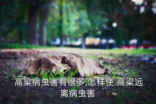 給高粱噴施什么農(nóng)藥好,噴施農(nóng)藥屬于什么防治