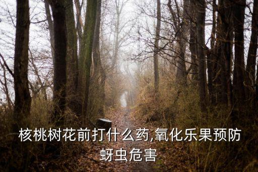  核桃樹花前打什么藥,氧化樂果預防蚜蟲危害