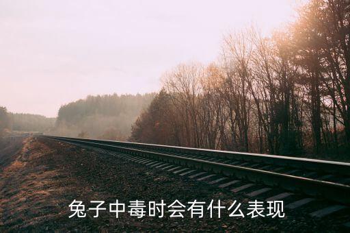  兔子中毒時會有什么表現
