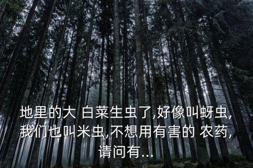 地里的大 白菜生蟲了,好像叫蚜蟲,我們也叫米蟲,不想用有害的 農藥,請問有...