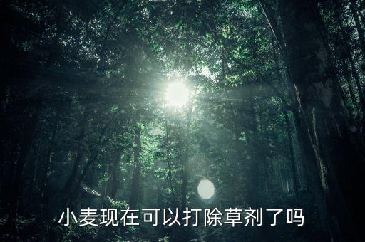 麥田會打什么農藥