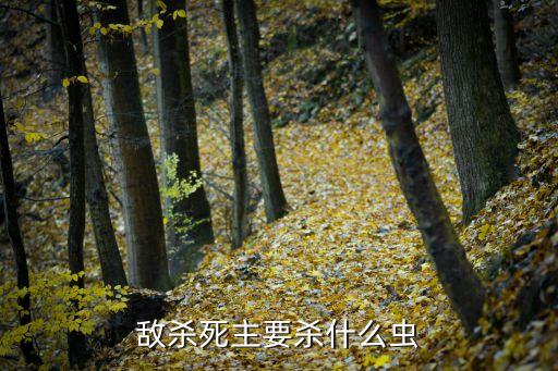 農(nóng)藥殺蝽先鋒治什么蟲