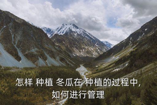 種植冬瓜打什么農(nóng)藥,冬瓜適合什么季節(jié)種植