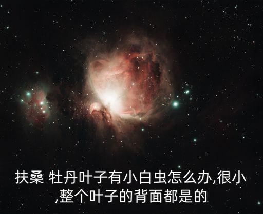 扶桑 牡丹葉子有小白蟲怎么辦,很小,整個葉子的背面都是的