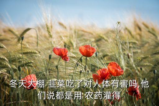 韭菜為什么這么多農(nóng)藥,為什么韭菜有農(nóng)藥味
