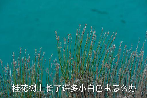 桂花樹蟲害用什么農(nóng)藥,蔥蟲害用什么農(nóng)藥打
