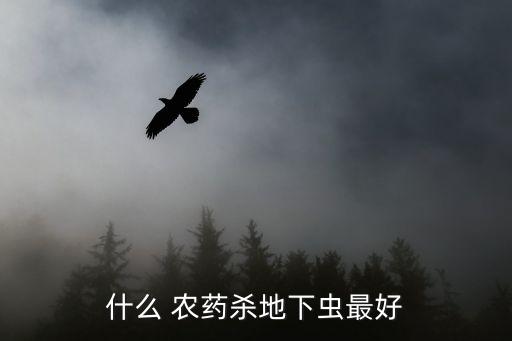 大球蚧用什么農藥,什么農藥能殺死蚧殼蟲
