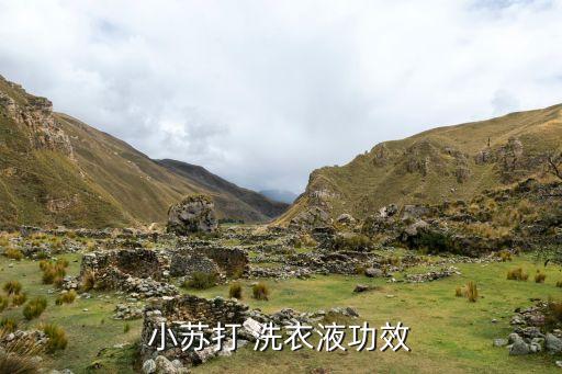 ,農(nóng)藥洗衣液有什么用