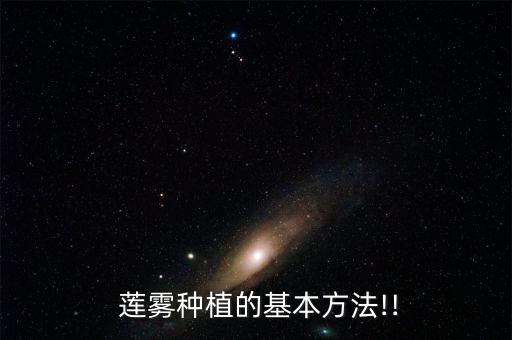  蓮霧種植的基本方法!!