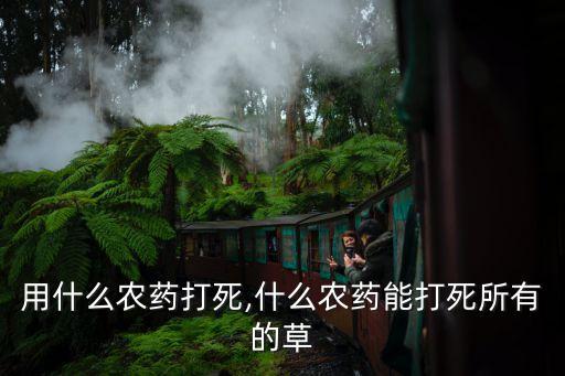 苧麻用什么農藥打死,什么農藥能打死所有的草