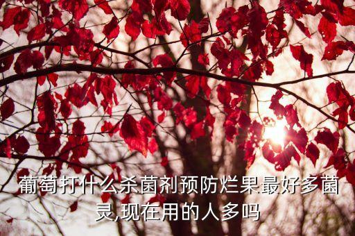 葡萄應(yīng)該使用什么農(nóng)藥,葡萄一般打什么農(nóng)藥