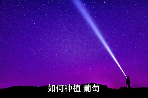 葡萄農藥pbo是什么,PBO是什么農藥