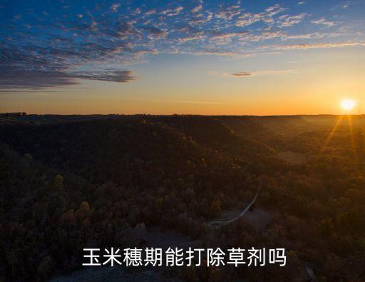 玉米抽穗打什么農藥好,玉米開花抽穗期可以打農藥嗎