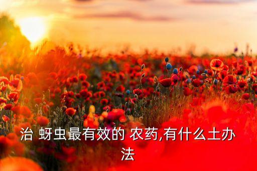 治 蚜蟲最有效的 農藥,有什么土辦法