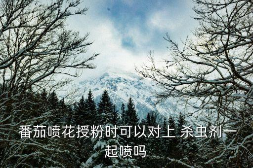  番茄噴花授粉時可以對上 殺蟲劑一起噴嗎