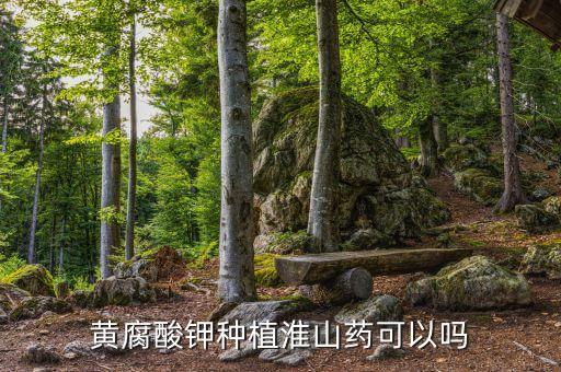 澇天打什么農藥抗澇,打農藥一般什么時間打比較好
