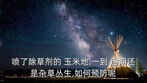 玉米后期噴什么農藥,玉米治蟲用什么農藥好