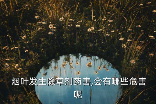  煙葉發生除草劑藥害,會有哪些危害呢