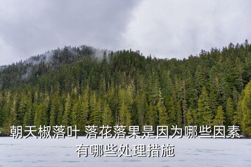 朝天椒落葉 落花落果是因為哪些因素有哪些處理措施