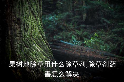  果樹地除草用什么除草劑,除草劑藥害怎么解決