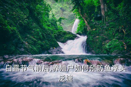 白露節(jié)氣前后,養(yǎng)殖戶如何預(yù)防魚浮頭泛塘