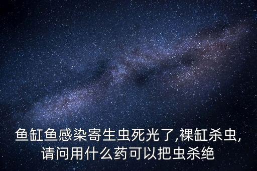 魚缸魚感染寄生蟲死光了,裸缸殺蟲,請問用什么藥可以把蟲殺絕