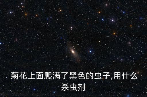  菊花上面爬滿了黑色的蟲子,用什么殺蟲劑