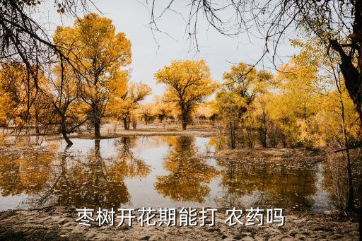棗樹開花期能打 農藥嗎