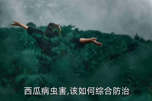種西瓜苗用什么農(nóng)藥防蟲,西瓜要打什么農(nóng)藥最好