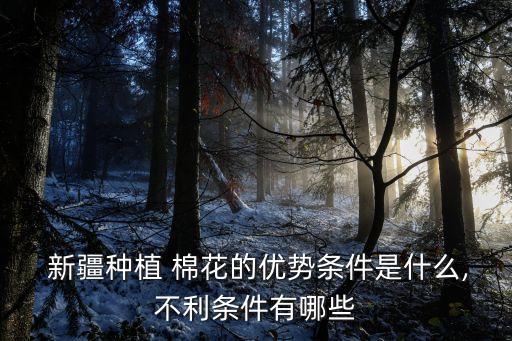  新疆種植 棉花的優勢條件是什么,不利條件有哪些