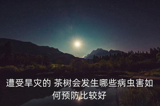 什么農藥治青苔病茶樹好,過氧乙酸農藥治什么病