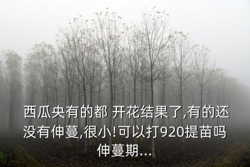 西瓜開花結果期噴什么農藥,促果樹開花結果噴什么