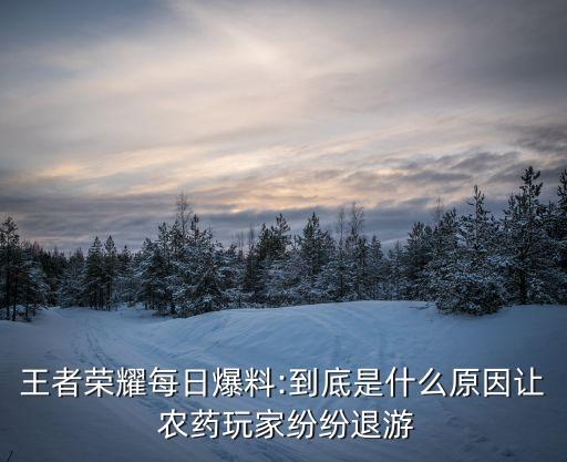 王者榮耀每日爆料:到底是什么原因讓 農藥玩家紛紛退游