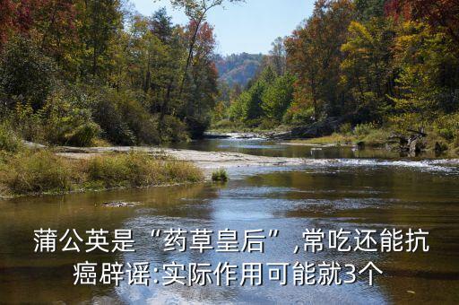 用什么農藥可以殺死蒲公英,什么除草劑能殺死蒲公英