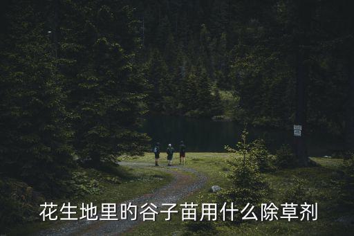  花生地里旳谷子苗用什么除草劑