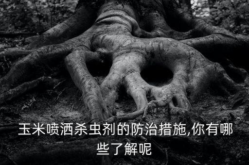  玉米噴灑殺蟲劑的防治措施,你有哪些了解呢