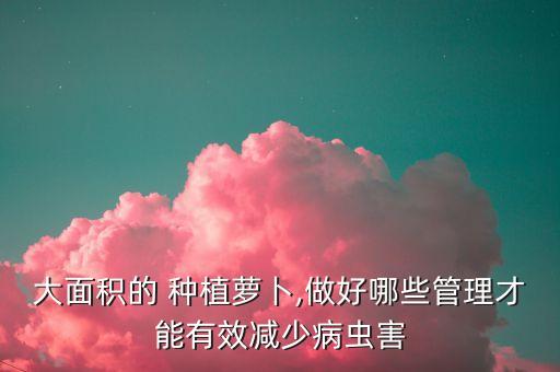 大面積的 種植蘿卜,做好哪些管理才能有效減少病蟲(chóng)害