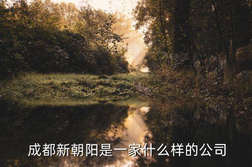  成都新朝陽是一家什么樣的公司