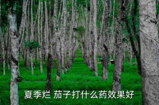 茄子是用什么農藥打的,什么農藥對茄子有害