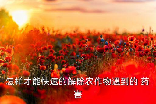 怎樣才能快速的解除農作物遇到的 藥害