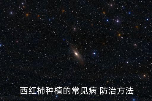 西紅柿需打什么農(nóng)藥防治