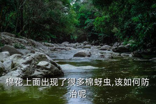 什么農(nóng)藥殺棉蚜好使呢視頻