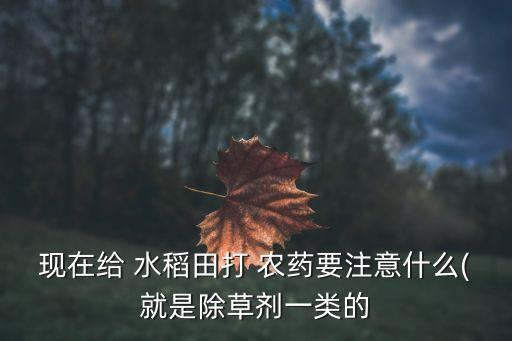 現(xiàn)在給 水稻田打 農(nóng)藥要注意什么(就是除草劑一類的
