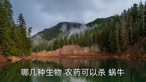 蝸牛用什么農藥可以殺死,治蝸牛有什么農藥