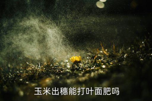 玉米出穗用什么農藥,什么農藥能讓玉米不結棒
