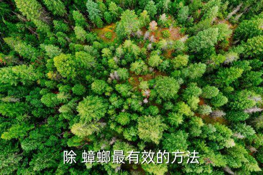 什么農藥制死蟑螂最好,蟑螂用什么農藥